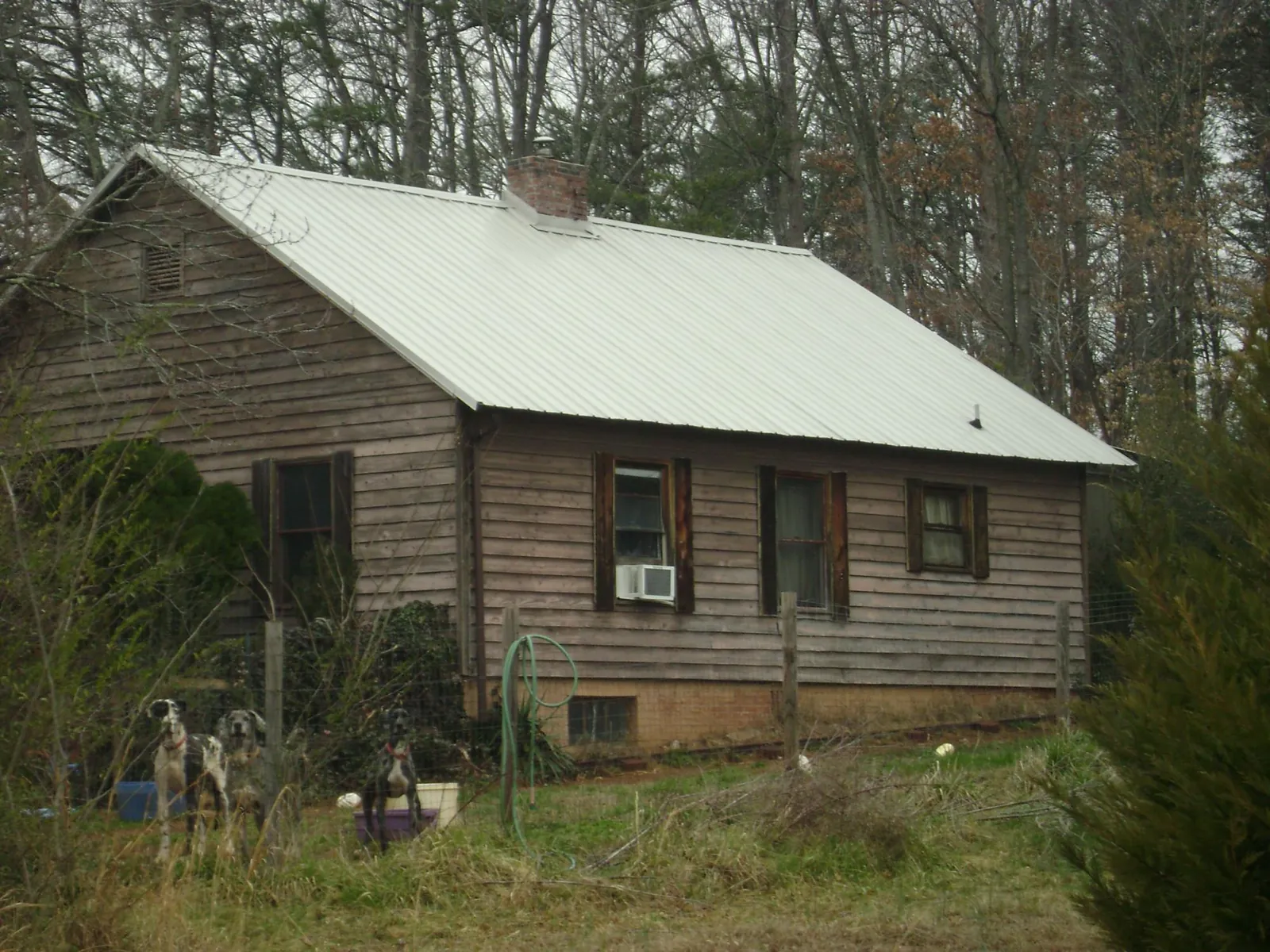 White metal roof on an old wood sided farmhouse, from a Asphalt Shingle Roof Repair job in Saint Rose